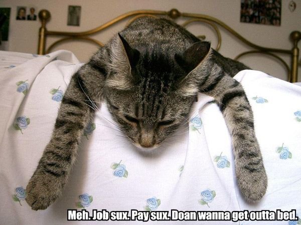 meh-job-sux-pay-sux-doan-wa.jpg