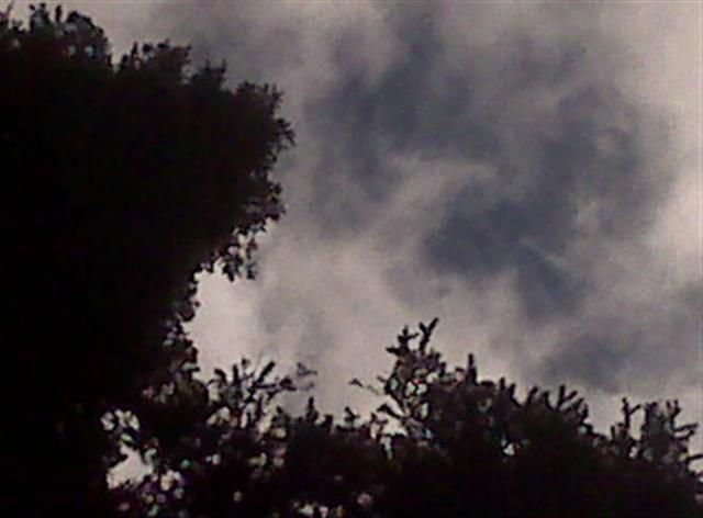 OuttheSunroof (Small).jpg