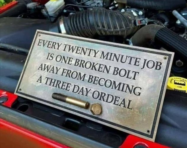 Bolt.jpg