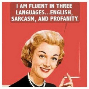 105570-English-Sarcasm-And-Profanity.jpg