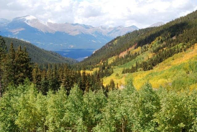Aspen.jpg