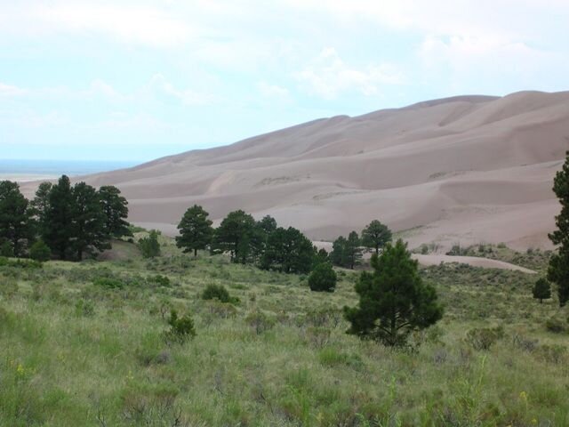 Dunes.JPG