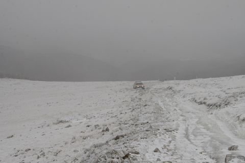 IMG_7436.JPG