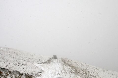IMG_7437.JPG