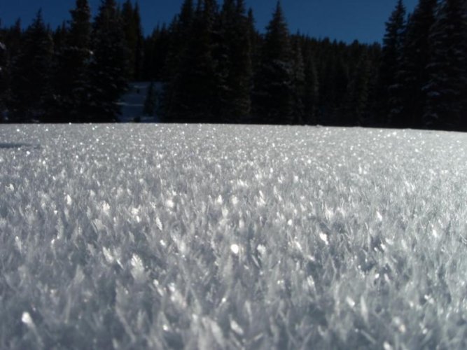 snow crystals.jpg
