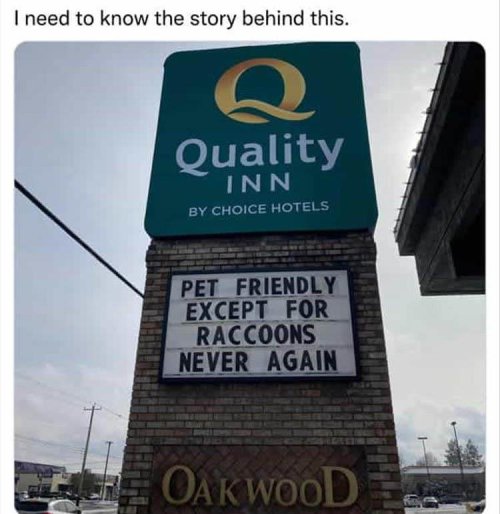pet-friendly-no-raccoons.jpg