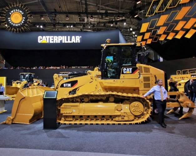 cat973.jpg
