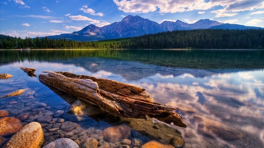 calming_mt.jpg