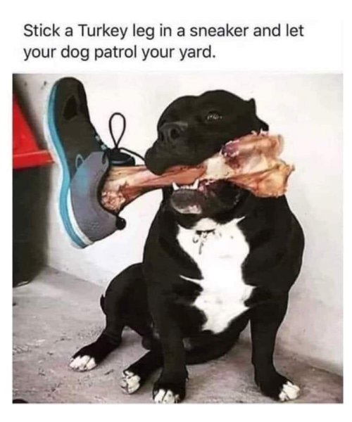 turkey-leg-sneaker.jpg