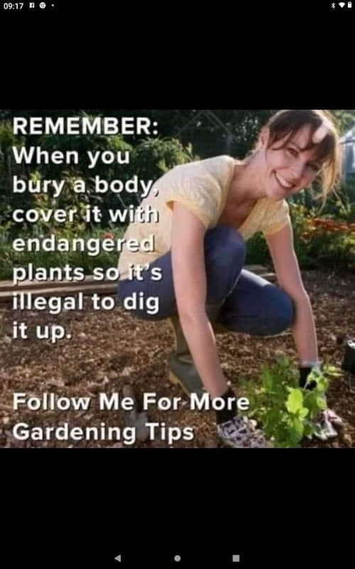 bury-a-body-endangered-plants.jpg
