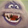 TheYETI