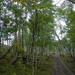 Beginning of Pearl Pass