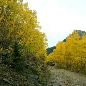Beginning of Taylor Pass