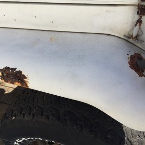 MWM rust fender.jpg